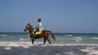 Horse Rides on Hua Hin Beach