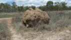 Termite Mound - Queensland
