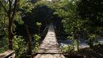 Footbridge Over The Dau River