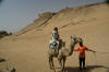 laura camel desert