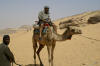 lovedeep on camel
