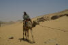 lovedeep on camel