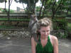 Monkey on Jodie's Head at Uluwatu